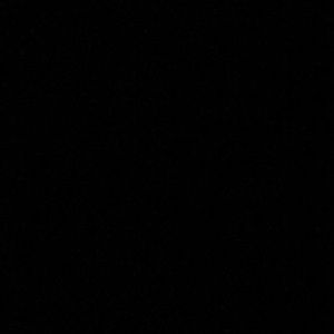 Meet your Posher, Dane